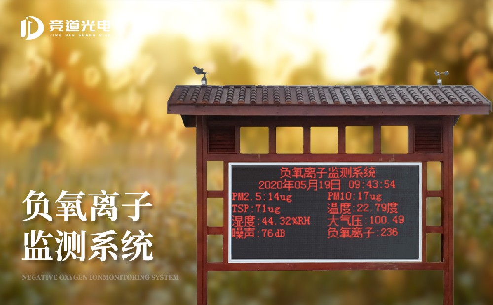 负氧离子监测体系