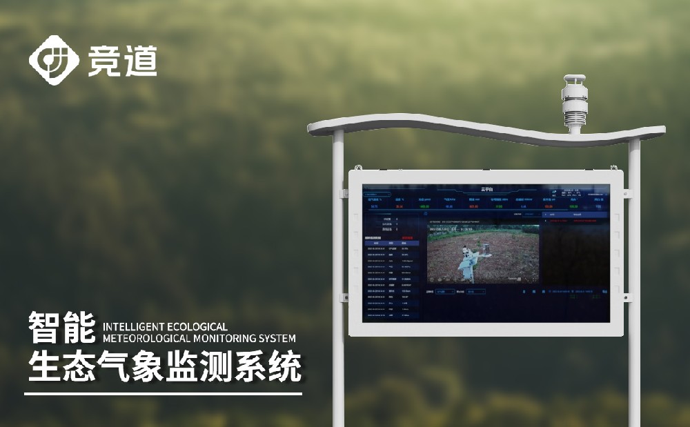 负氧离子监测仪