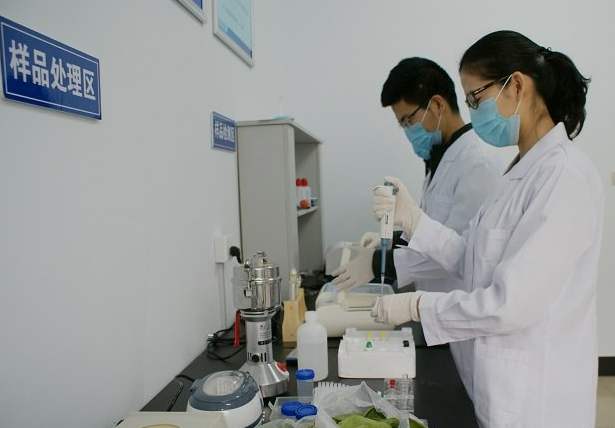 食物宁静快检室首要功效