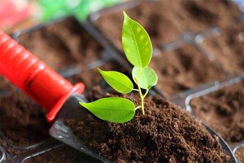 便携式泥土营养速测仪