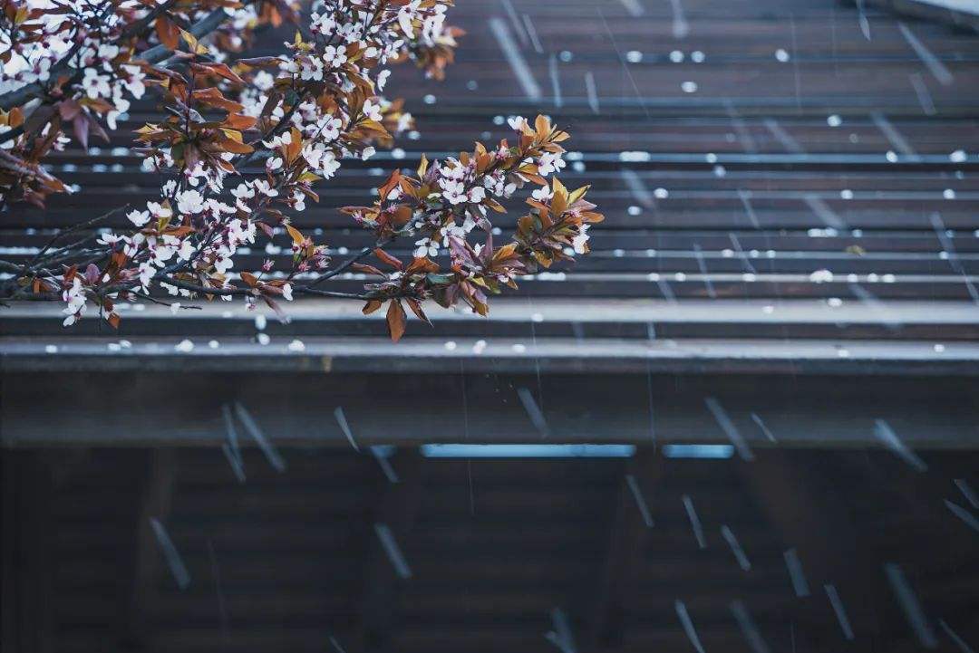 主动景象形象站厂家