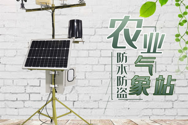 田间景象形象站