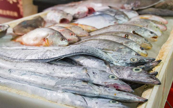 水产物药物残留检测仪