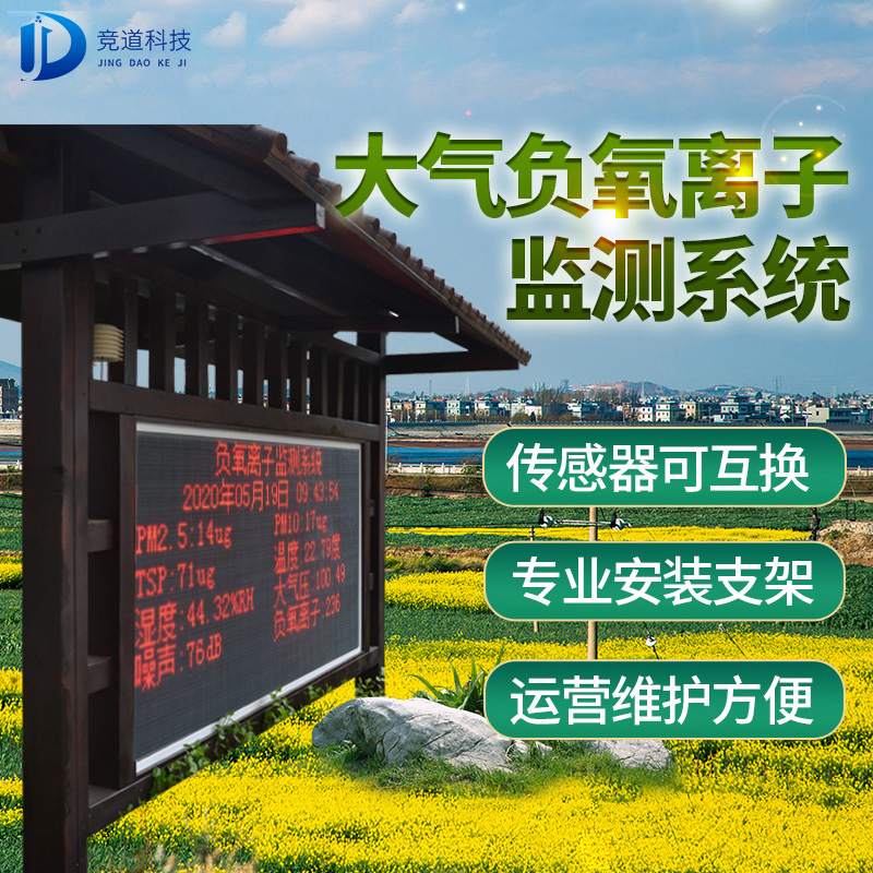 负氧离子大气监测体系