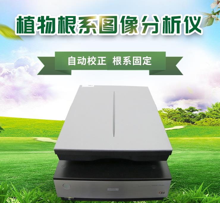 动物根系阐发体系