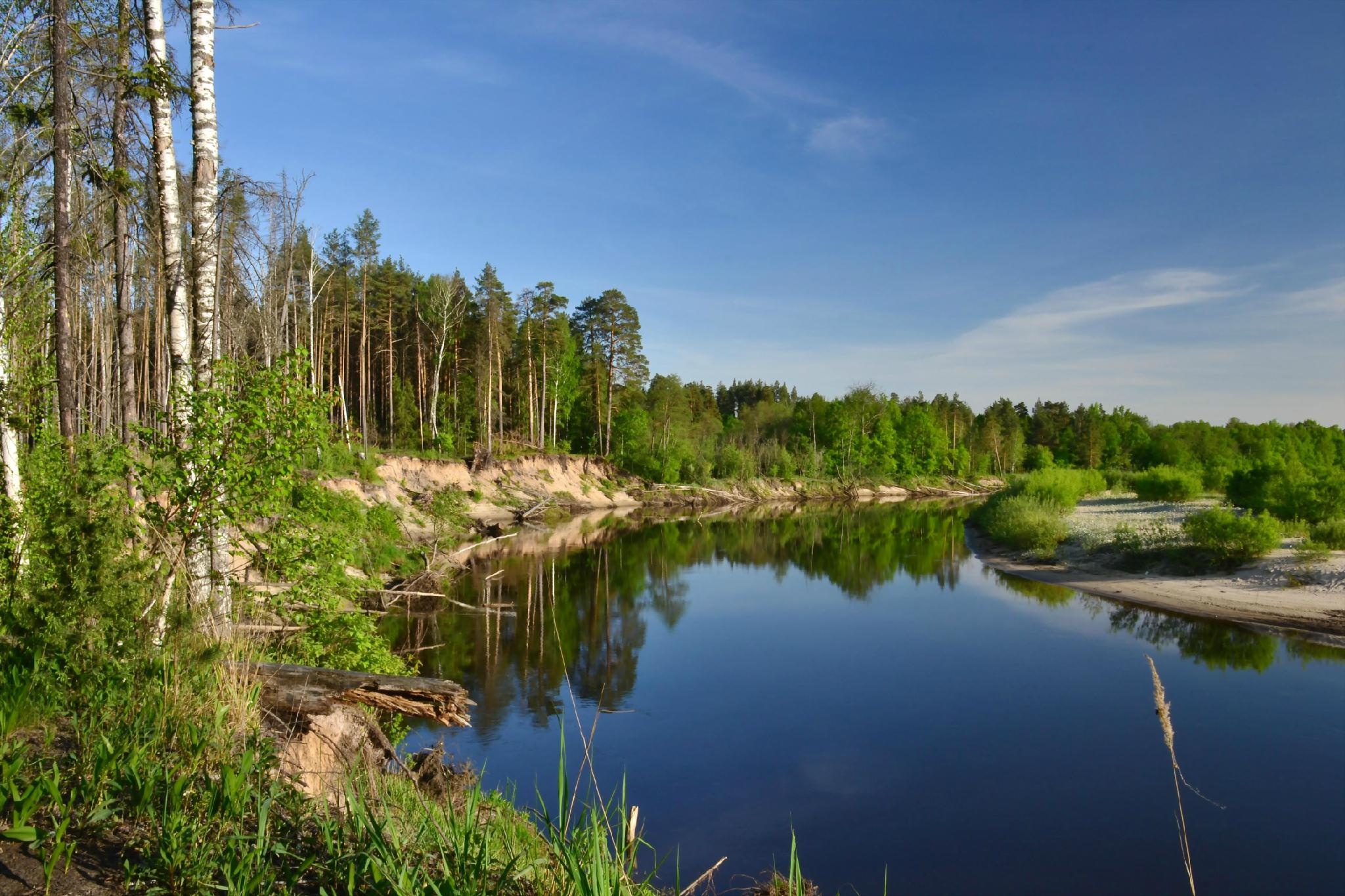 雷达水位计的检测道理